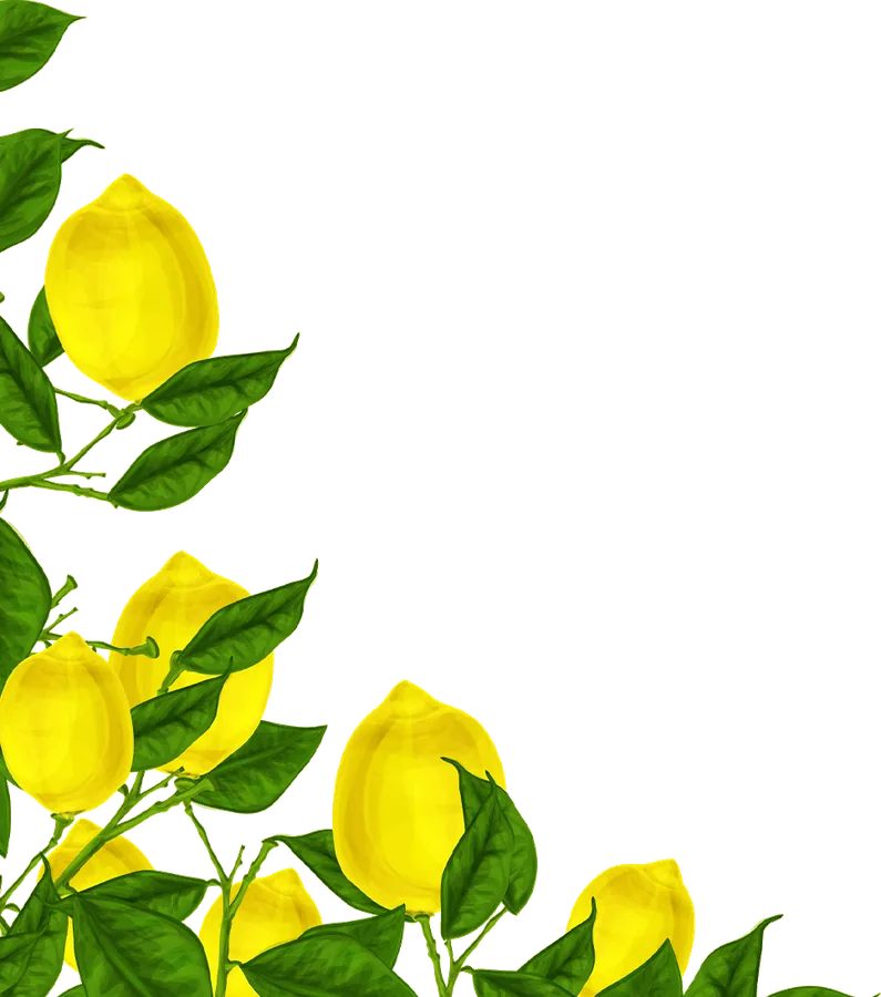 Lemon branch illustration (bottom corner)