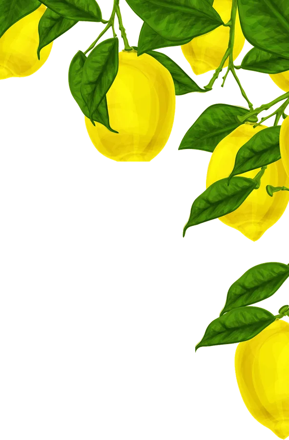Lemon branch illustration (top corner)