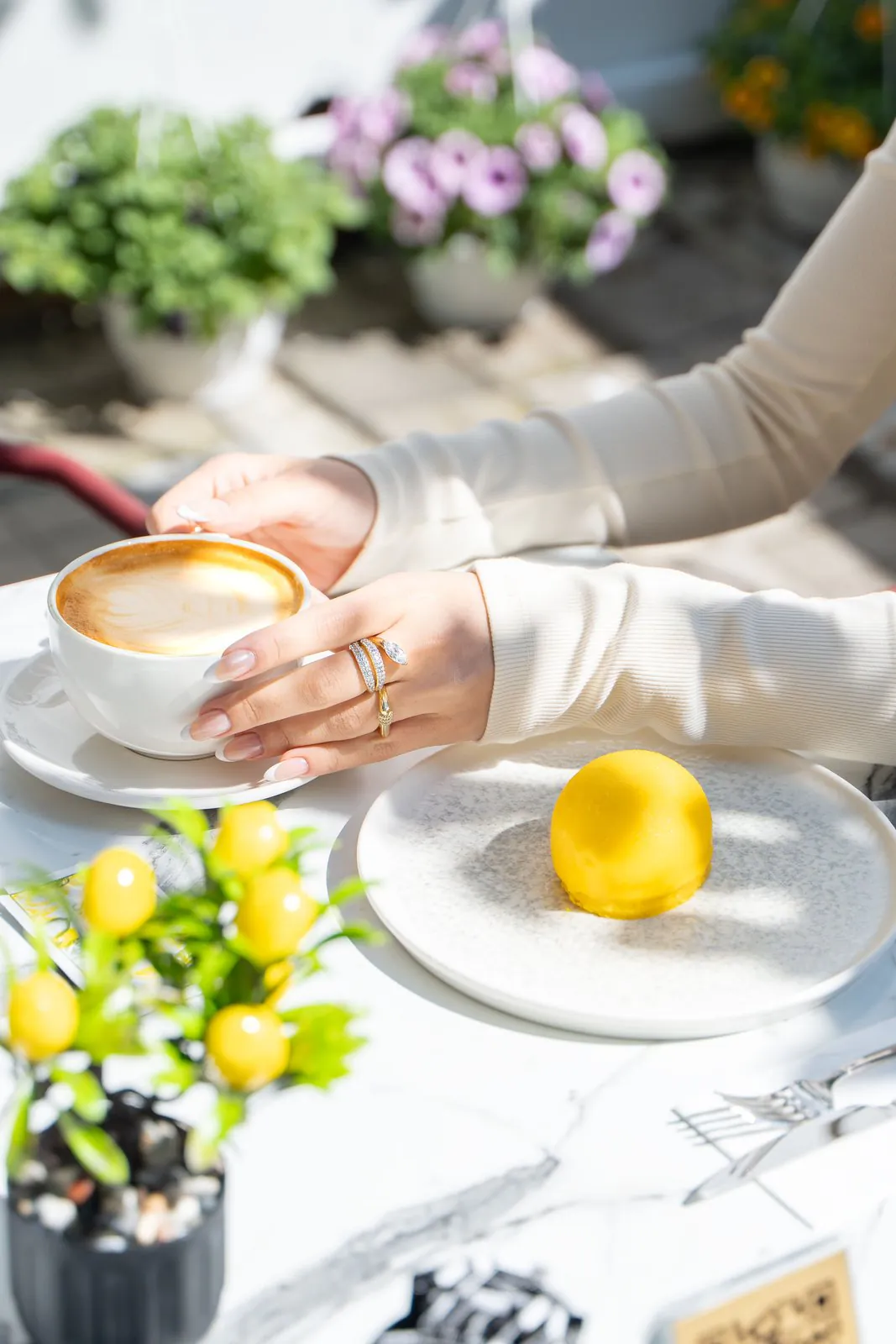 Lemon's Coffee — A latte, a lemon dessert on a plate and a potted lemon tree on the marble table