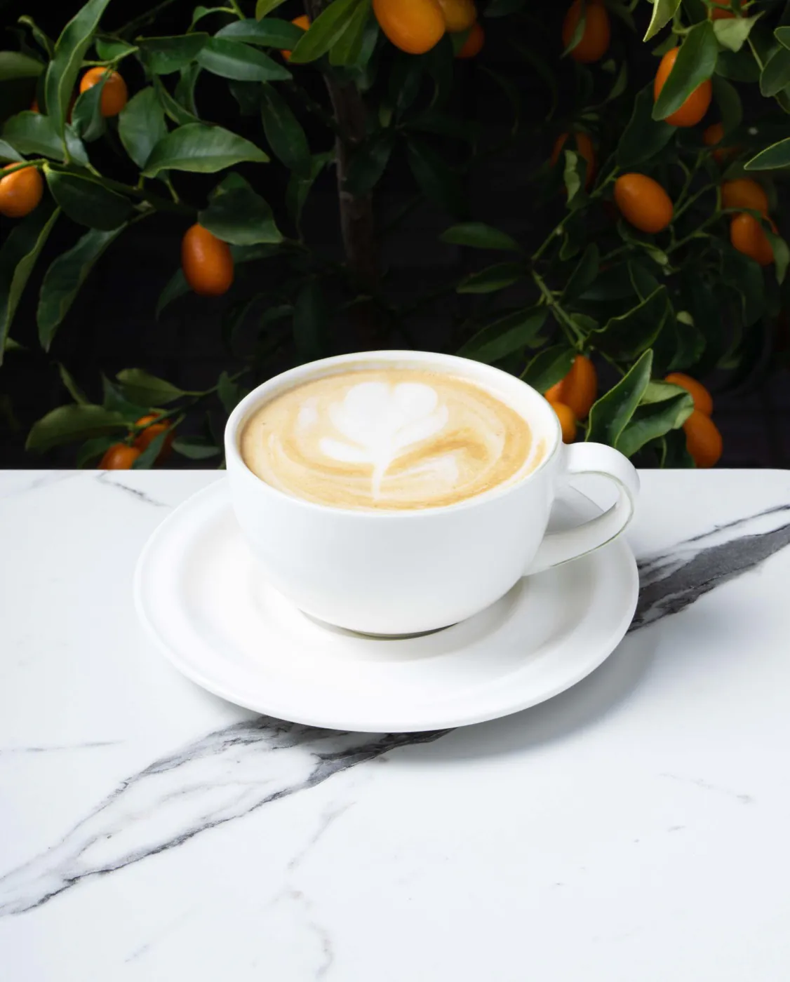 Lemon's Coffee — A latte with latte art in a white cup